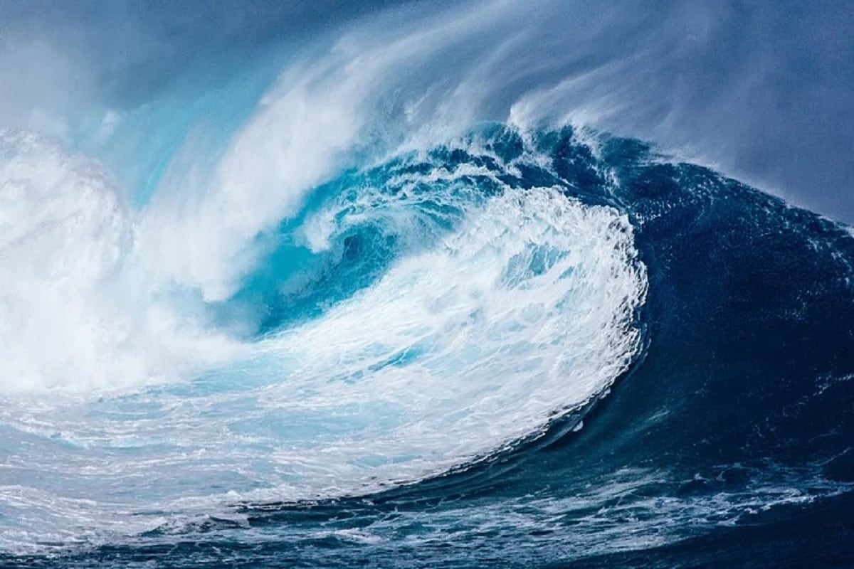 Environment, Climate change, Global warming, Octopus, Oceans, Ocean Acidification, Temperature, Adaptation, Metabolism,