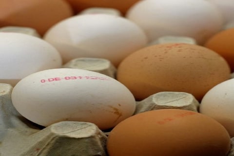 विटामिन डी 3 की कमी को पूरा करने के लिए अंडे की ज़र्दी का कर सकते हैं सेवन 