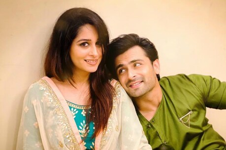 दीपिका कक्कड़ और शोएब इब्राहिम (Photo Credit- @ms.dipika/Instagram)