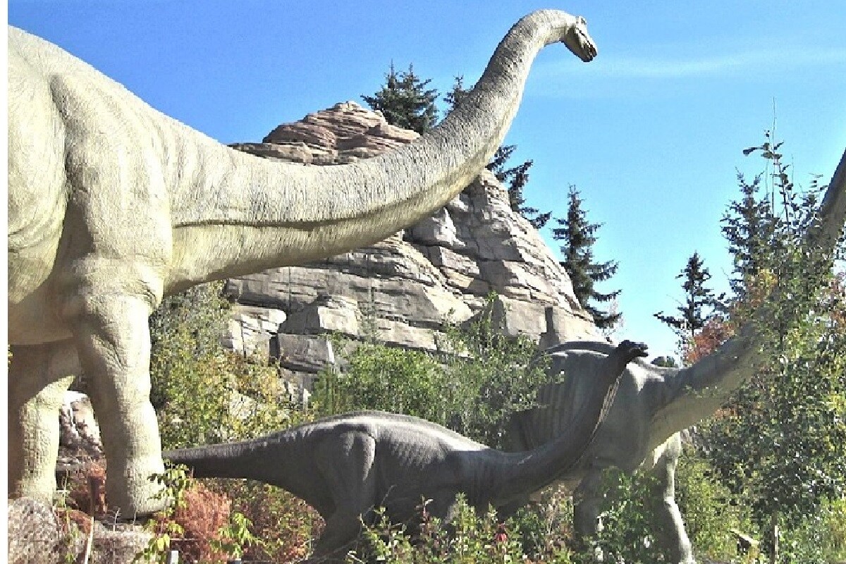 Argentina, Dinosaur, Titanosaur, Palaeontologist, Fossil, Creature, Sauropods,