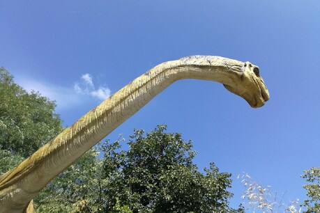 टाइटनोसॉर (Titionosaur) प्रजाति का डायनासोर सॉरोपॉडस समूह का डायनासोर (Dinosaur) है. (प्रतीकात्मक तस्वीर: Pixabay)