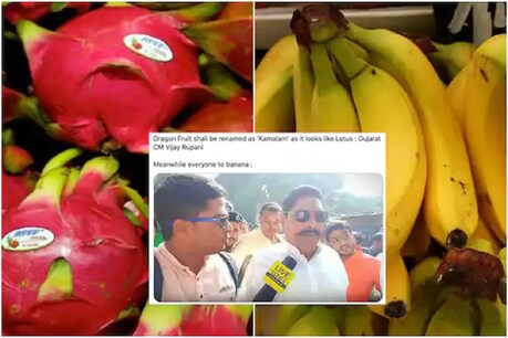 गुजरात सरकार की दलीलों का हवाला देकर ट्विटर यूजर्स ने पूछा कि क्या अगला नंबर केले का है? Image credit: Reuters/Twitter