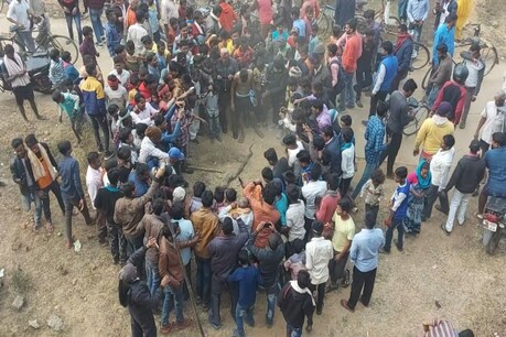 युवकों ने अजगर को पीट-पीटकर मार डालने के बाद उसे टांग कर मुख्य सड़क पर लाकर छोड़ दिया