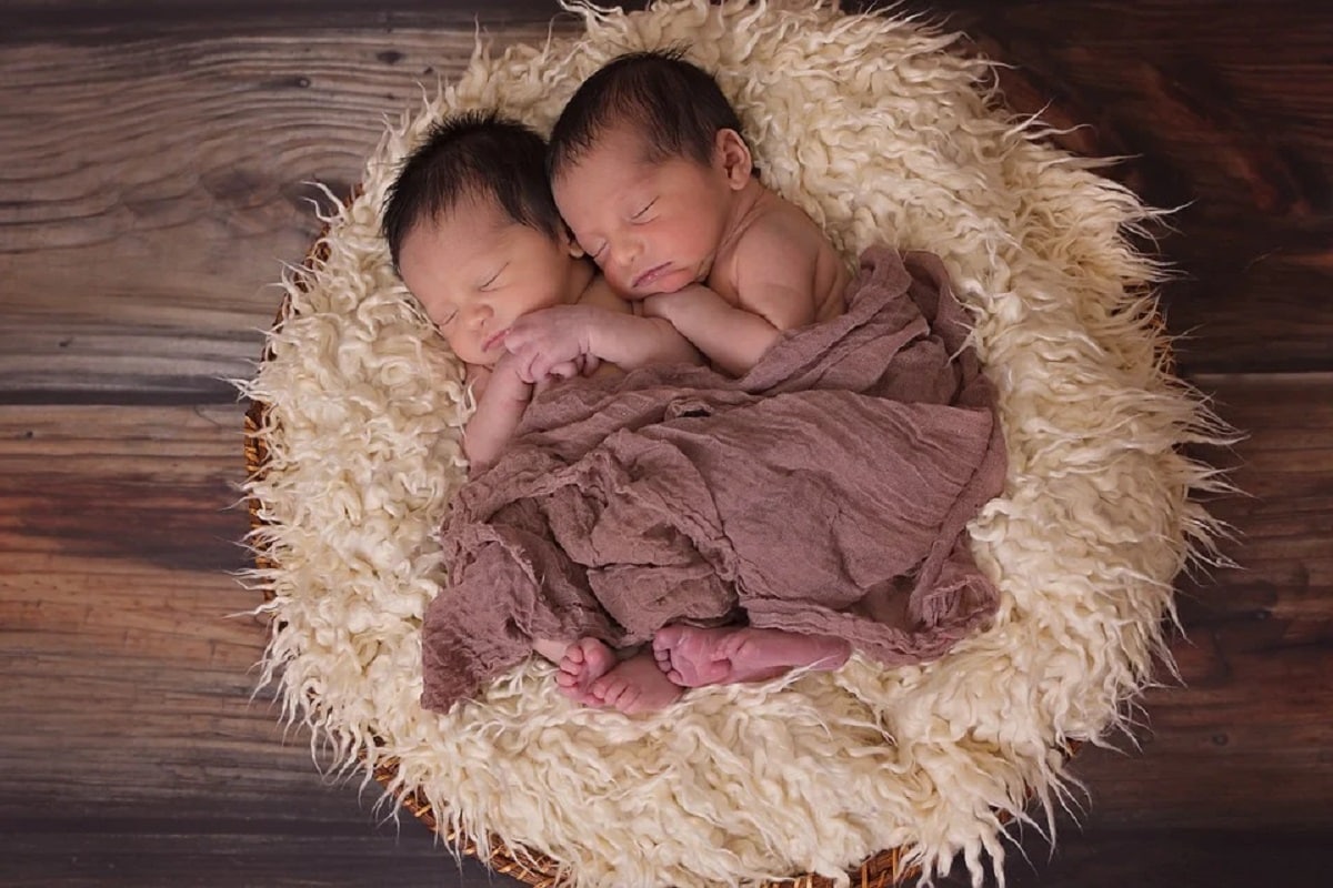, Health, Twins, Identical Twins, Genes, Genetic variation, embryo, nature, nurture, environment, Genetic vs environment