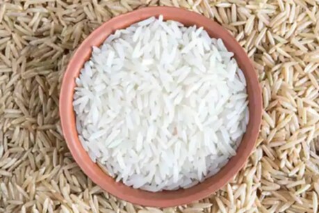 पाकिस्तान के बासमती चावल को जीआई टैग (फाइल फोटो)