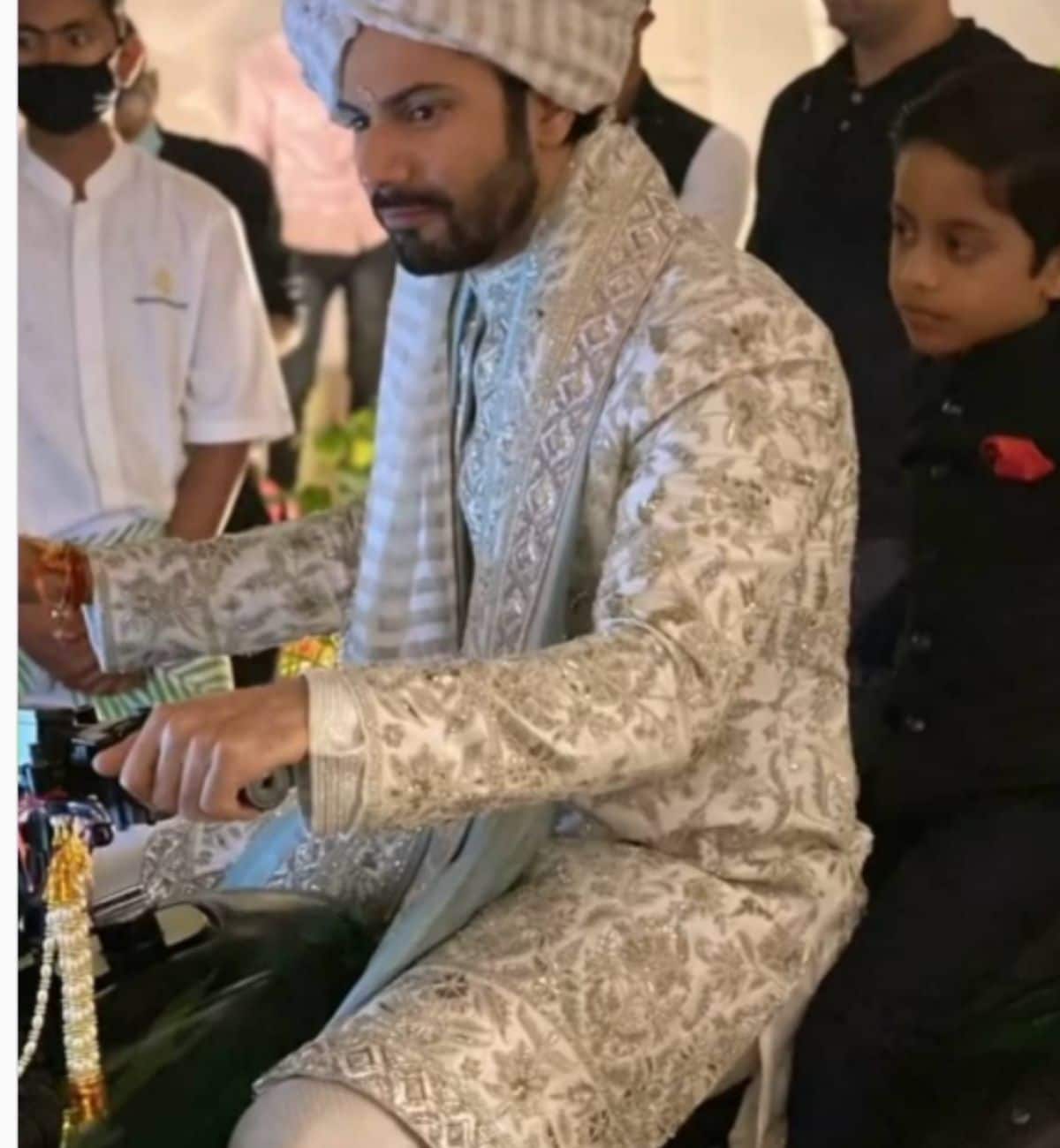 varun dhawan, natasha dalal