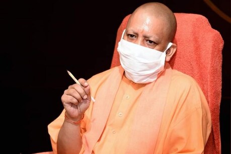 झांसी में स्ट्रॉबेरी का उत्पादन एक चमत्कार (File photo)