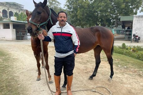 POLO के लिए स्कूल को दान किए अर्जेंटीना के कीमती घोड़े