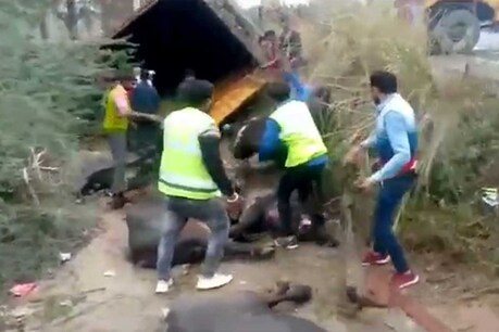 अमरोहा में कंटेनर पलटी, चार की मौत