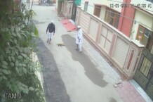 PHOTOS: पंजाब के मोगा में गुरुद्वारे के सेवादारों ने कुत्ते को लाठियों से पीट-पीट कर मार डाला