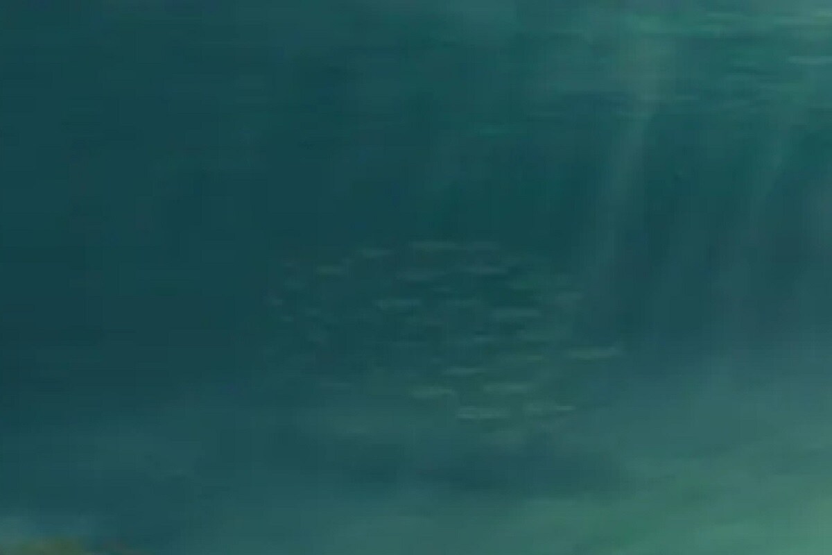 climate change, Global Warming, Westerlies, Westerly, paleoclimatology, Atlantic Ocean, Deep sea sediment,