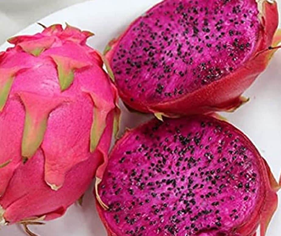 what is dragon fruit, dragon fruit nutrition, dragon fruit smoothie, fruits for winter, ड्रैगन फ्रूट क्या है, ड्रैगन फ्रूट स्मूदी, हेल्दी फ्रूट