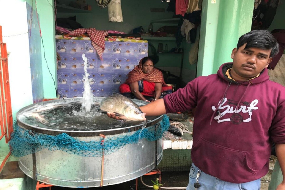 fish rate fish prices, demand increased, Bihar, up, Rajasthan, Delhi ncr, bird flu, mutton, chicken, nonveg, Haryana News, मछली के दाम, मछली का रेट, बर्ड फ्लू, मछली के दाम में उछाल, चिकन, मटन, दिल्ली एनसीआर, गाजीपुर मछली मंडी, पटना मछली मंडी, उत्तर प्रदेश मछली मंडियों के दामfish demand increased in these states Bihar up Rajasthan Delhi ncr sales eating bird flu mutton chicken nonveg nodrss