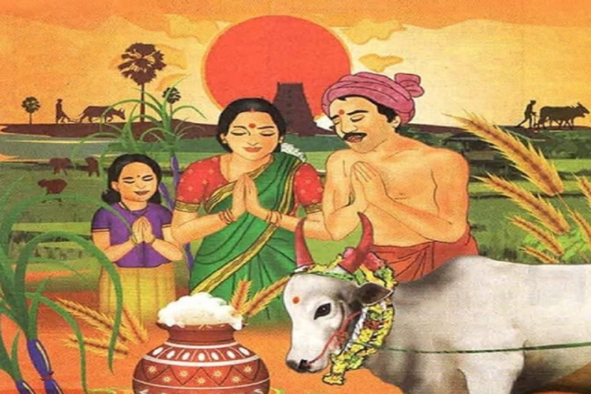 Local Guides Connect - PONGAL FESTIVAL IN TAMIL NADU - Local Guides Connect
