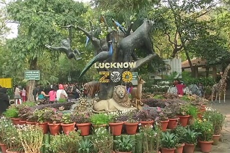बर्ड फ्लू को लेकर लखनऊ सहित प्रदेश के चिड़ियाघरों में अलर्ट घोषित कर दिया गया है.
