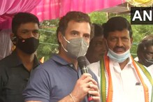 तमिलनाडु: जल्लीकट्टू कार्यक्रम में शामिल हुए राहुल गांधी, कई नेता रहे मौजूद
