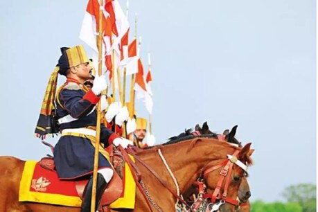 भारत में जन्मे हनोवरियन नस्ल के इस घोड़े की उम्र 22 साल है. (PTI)