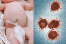 नवजात शिशुओं की गर्भनाल से हो सकता है Coronavirus का इलाज! शोध में हुआ खुलासा