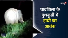 Jharkhand | Ghatshila के दुधकुंडी गांव में हाथियों का आतंक | Viral Video