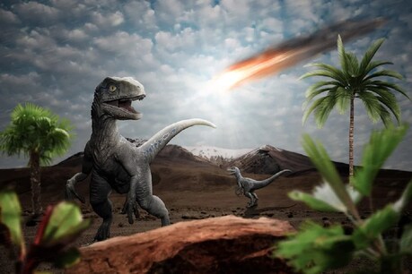 नर वानर (Primate) का यह जीवाश्म(Fossil) उस दौर का है जब डायनासोर (Dinosaurs) खत्म हो रहे थे. (प्रतीकात्मक तस्वीर: Pixabay)