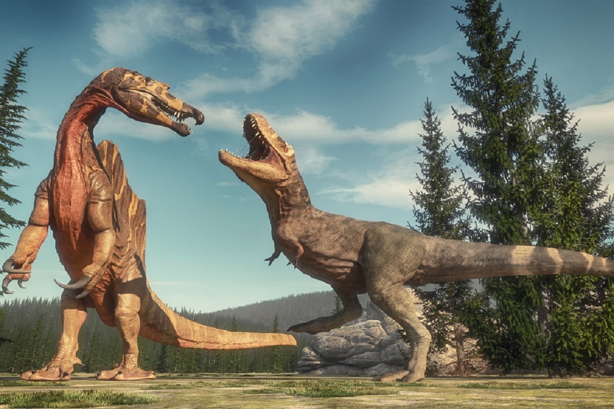 History, Environment, Dinosaurs, Primate, Humans, Fossil, Homsepians, Oldest Known Primate Fossil, Our First Ancestor, Dinosaur, Cretacious Era,