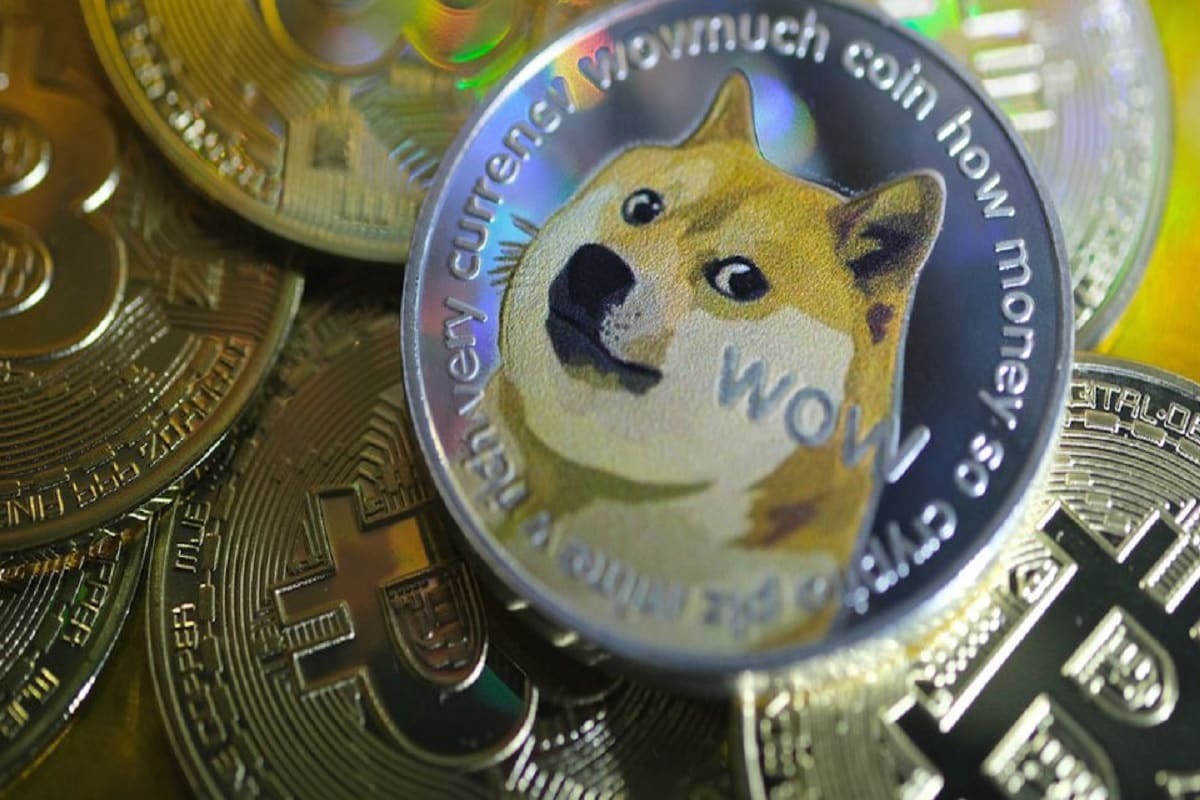 Dogecoin Price Inr : How To Buy Dogecoin In India In 2021 ...