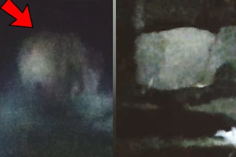 Villagers record elephant terror with their mobiles