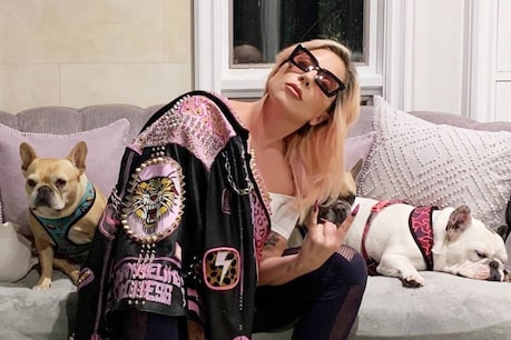 अपने कुत्ताें के साथ लेडी गागा. (फोटो साभार- @Ladygaga/Instagram)       