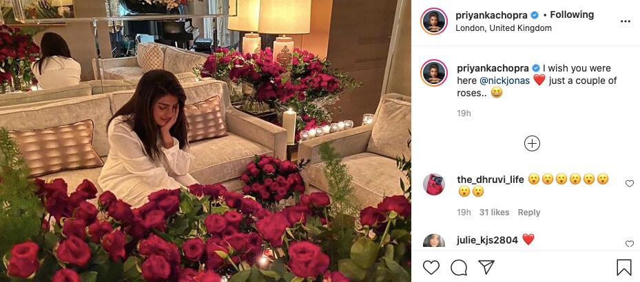 प्रियंका चोपड़ा जोनस, Priyanka Chopra Jonas, Nick Jonas, Valentine's Day