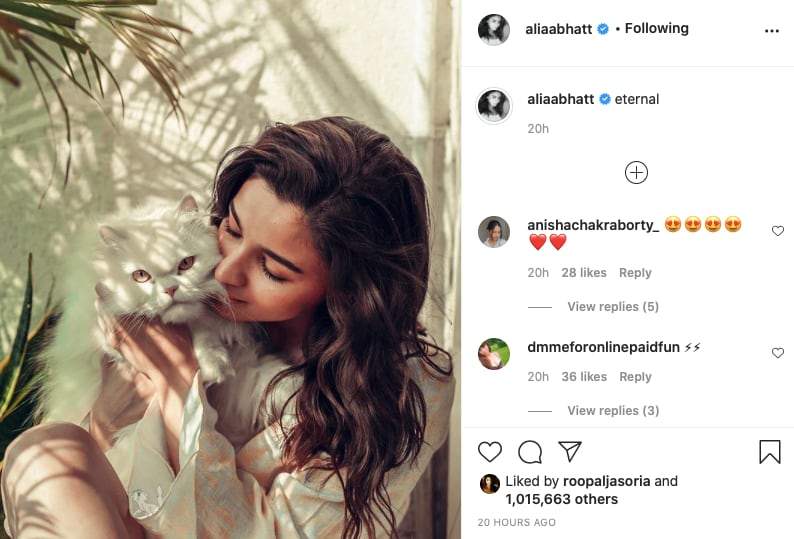 आलिया भट्ट, Alia Bhatt, Alia Bhatt Cat, Sun kissed photo, Shaheen Khan