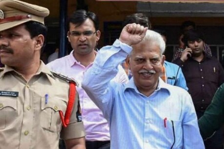 वरवरा राव. (पीटीआई फाइल फोटो)