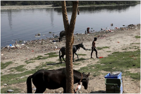 ater Pollution: यमुना जैसी कई नदियों का प्रदूषण बहुत ज्यादा बढ़ गया है.