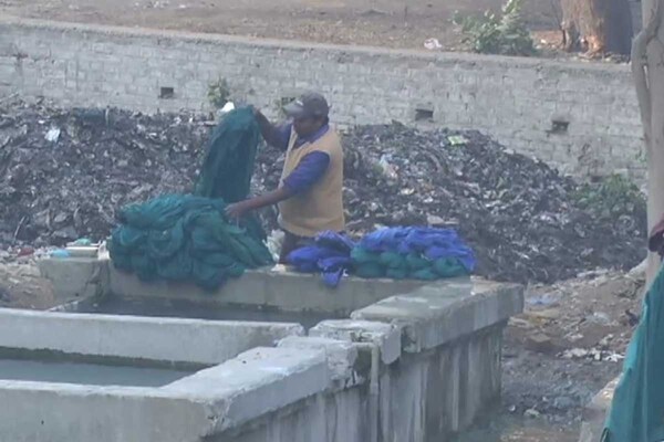 आगरा: नाले की सिल्ट पर सुखाए जा रहे एसएन मेडिकल कॉलेज के कपड़े, देखें तस्वीरें   