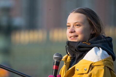 ग्रेटा थनबर्ग स्वीडन में बैठ कर मौसमी acitivism करती हैं (फाइल फोटो: Shutterstock)