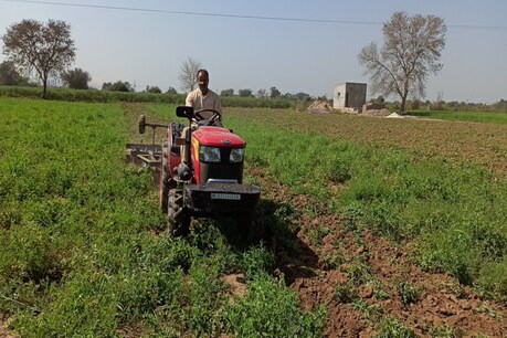 चरखी दादरी में किसान ने अपनी फसल पर चलाया ट्रैक्टर.