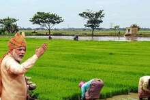 किसानों की आय बढ़ाने का प्‍लान! सरकार ने निर्यात बढ़ाने के लिए चुने उत्‍पाद