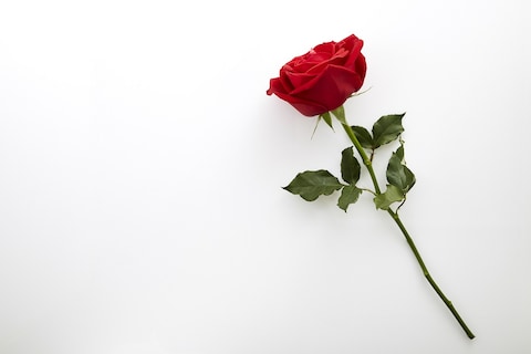 प्राचीन भारत में जब लड़की किसी को लाल गुलाब भेजती थी तो इसका क्या मतलब होता  था। in ancient india when girl send someone red rose what the meaning of it  –