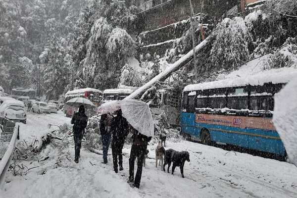 PHOTOS: हिमाचल के कई जिलों में रिकॉर्ड बर्फबारी से सड़कें हुईं जाम, बिजली सप्लाई ठप