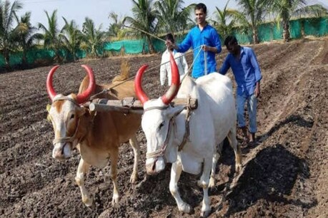 किसान का बेटा नवजीवन पवार अनेक कठिनाईयों के बाद बना आईएएस अधिकारी.