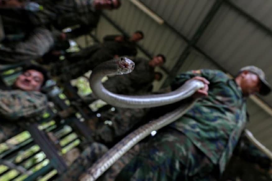 cobra gold Military Exercise