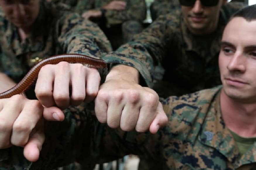 cobra gold Military Exercise