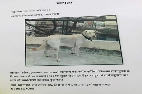 वाराणसी में कई जगह लगे पोस्टर लोगों का ध्यान आकर्षित कर रहे हैं. इसमें एक फीमेल डॉग का जिक्र है.