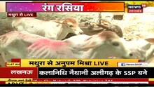 Mathura में Holi की धूम, खेली जा रही है छड़ीमार होली, दुनियाभर से आए लोग
