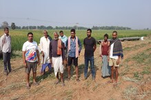 बिहार: इंडियन ऑयल कर्मियों ने फसल पर जेसीबी चलाई तो किसानों ने रुकवाया काम