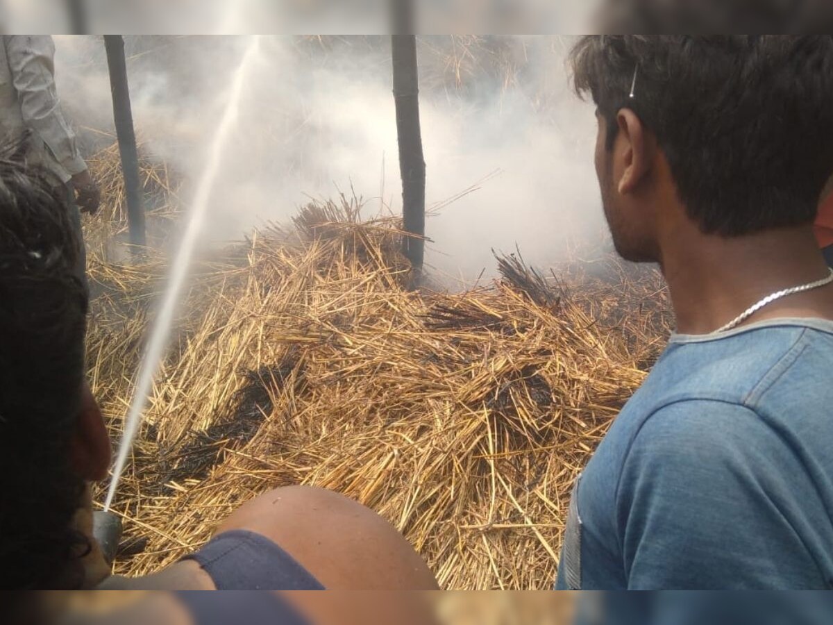 Araria News: भूसा घर में अचानक लगी आग, जिंदा जल गए 6 मासूम – News18 हिंदी