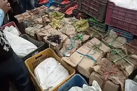 राजधानी रांची में मिलावटी पनीर एवं खोवे की आपूर्ति बड़े पैमाने पर त्योहारों की सीजन में की जाती है.