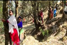 Uttarakhand News: पेड़ों को बचाने के लिए 48 साल बाद उत्‍तराखंड में फिर 'चिपको' आंदोलन, जानें पूरा मामला