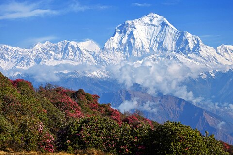हिमालय (Himalaya) में बहुत सारी जगहों पर पर्यावरण संबंधी आकंड़े जमा किए जाते हैं जो बहुत उपयोगी होते हैं. (प्रतीकात्मक तस्वीर: shutterstock)