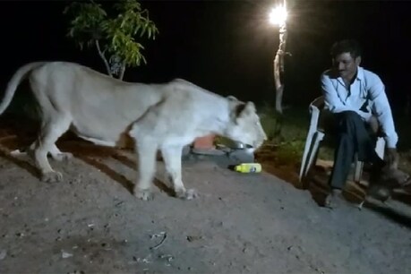 अदालत ने ऐतिहासिक फैसला देने के साथ आरोपी को 10,000 रुपये का जुर्माने के साथ ही 3 साल की कैद की सजा सुनाई है.