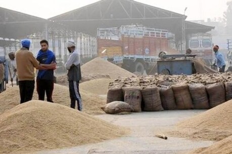 हरियाणा में किसानों के लिए सरकार ने बड़ा फैसला किया है.